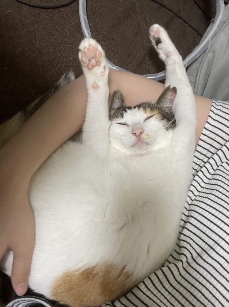 くつろぎすぎるたまえ