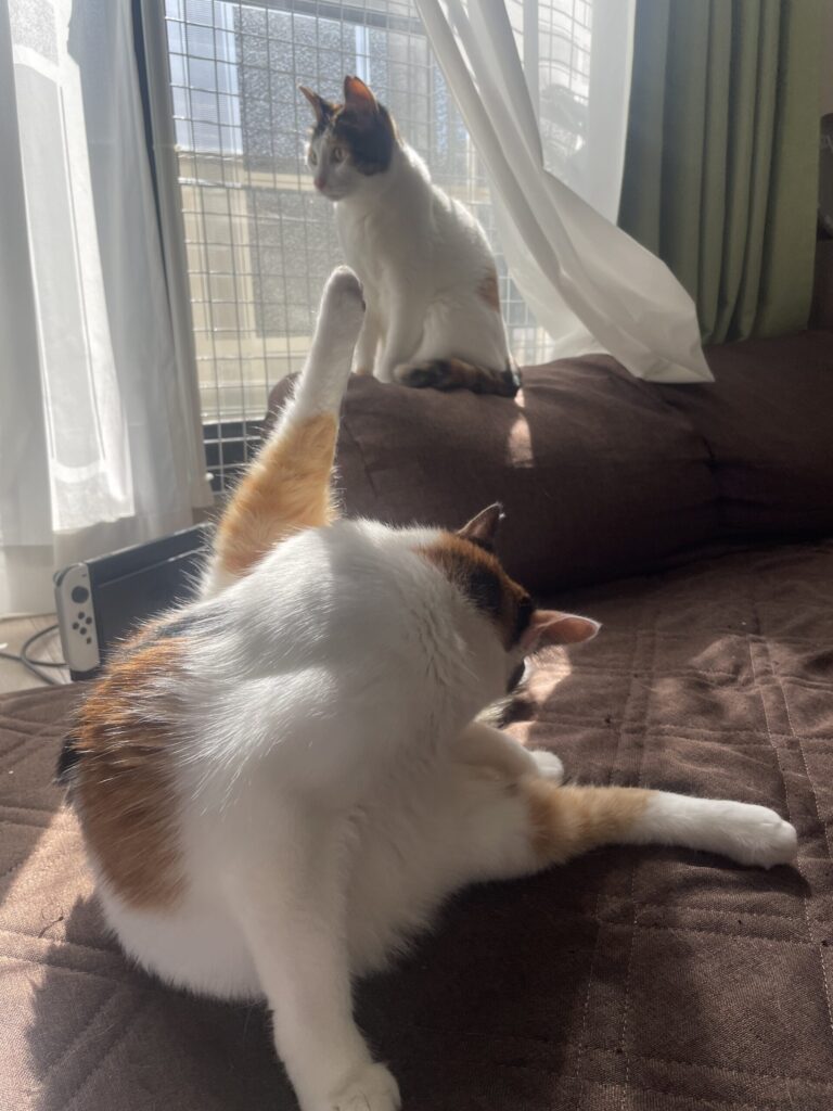 くつろぐももたま
