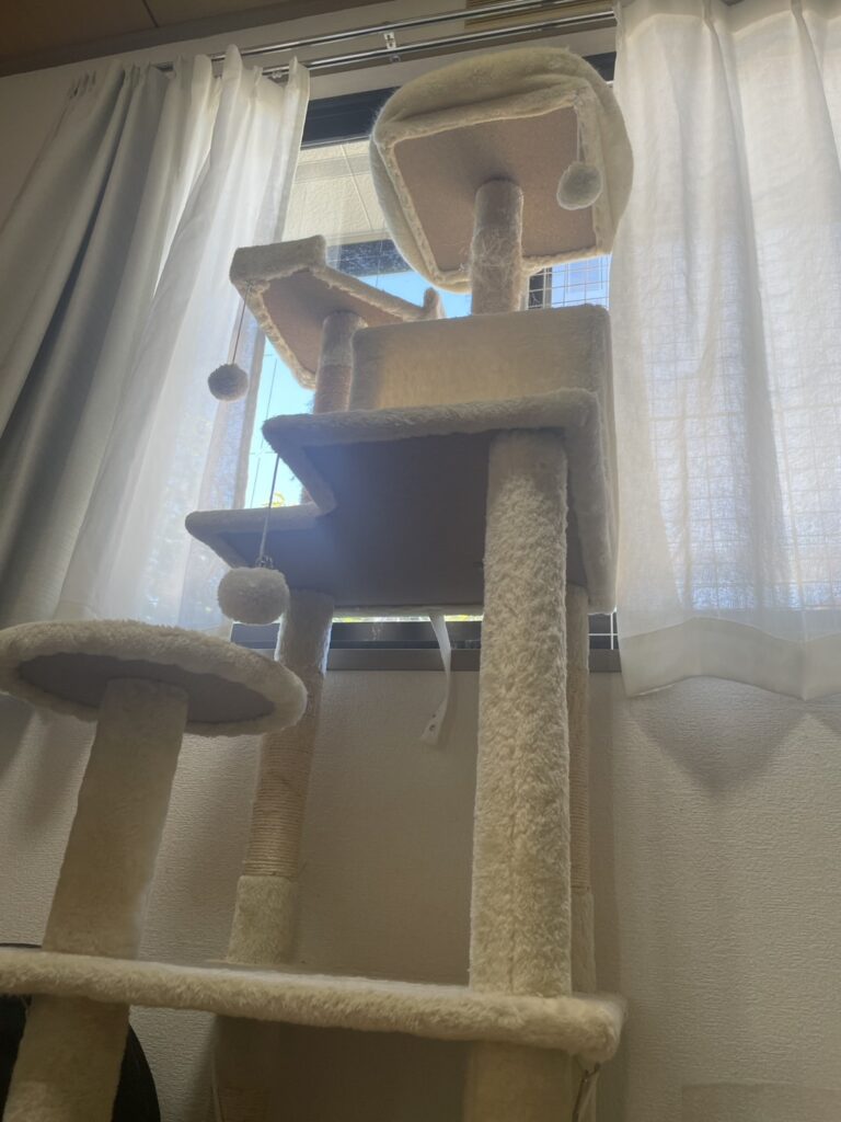 キャットタワーの画像